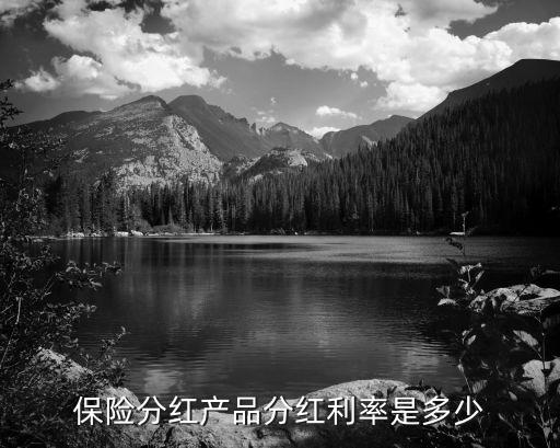 保险股票分红率多少合适，保险分红产品分红利率是多少