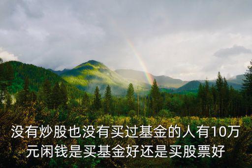 10万闲钱买什么股票，10万以下的小散户买股票那个证券公司比较好