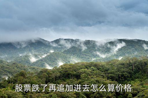 股票跌了再追加进去怎么算价格