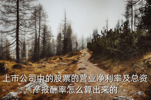 长方集团股票净利率多少，毛利率和净利率计算方式