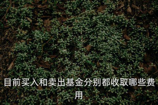 目前买入和卖出基金分别都收取哪些费用