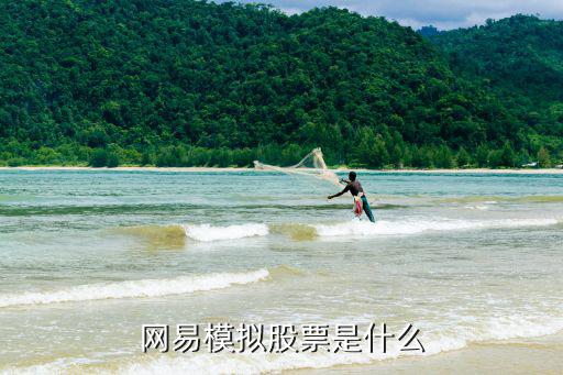 网易股票有什么用，网易模拟股票是什么