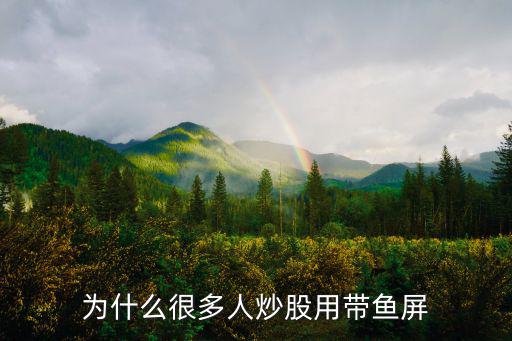 为什么很多人炒股用带鱼屏