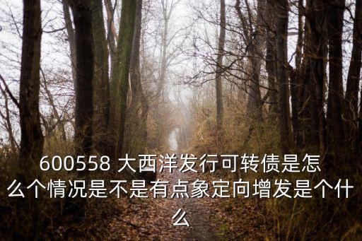 600558 大西洋发行可转债是怎么个情况是不是有点象定向增发是个什么