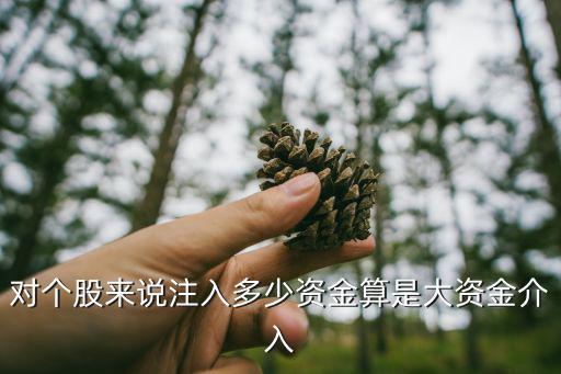 对个股来说注入多少资金算是大资金介入