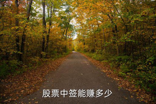 股票中签能赚多少