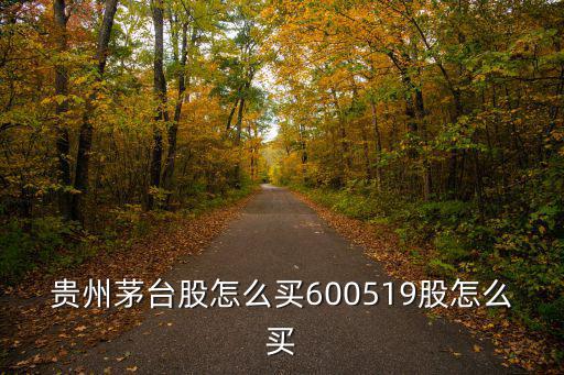 贵州茅台股怎么买600519股怎么买