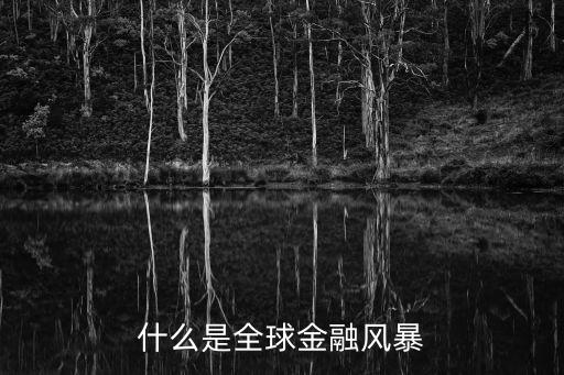什么是全球金融风暴