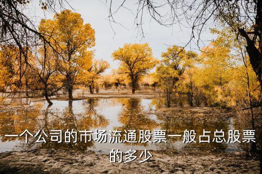 一个公司的市场流通股票一般占总股票的多少