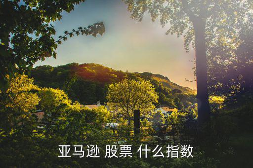 亚马逊 股票 什么指数