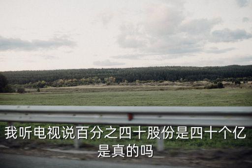 我听电视说百分之四十股份是四十个亿是真的吗