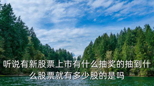 抽签股票有多少人，股票新股抽签