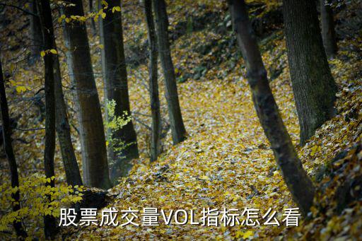 股票vol指标怎么看，股票成交量VOL指标怎么看