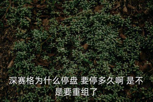 深赛格股票怎么样，深赛格为什么停盘 要停多久啊 是不是要重组了