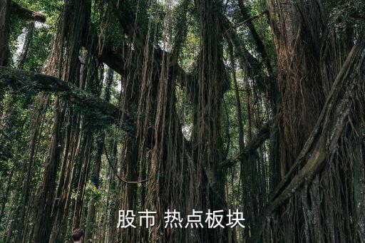 股票什么是热点板块指数，股票中现在那个板块是热点