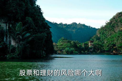 股票和理财的风险哪个大啊