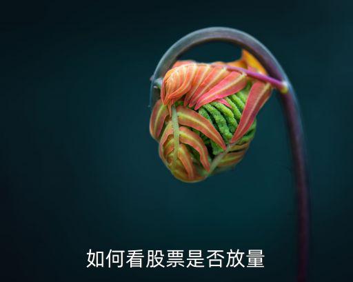 如何看股票是否放量