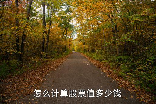 怎么计算股票值多少钱