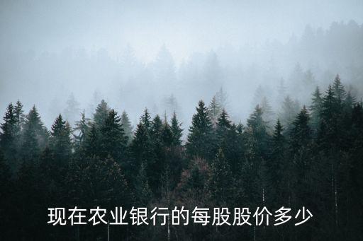 现在农业银行的每股股价多少