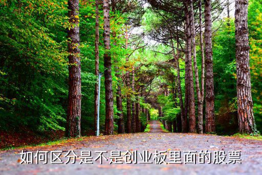如何区分是不是创业板里面的股票