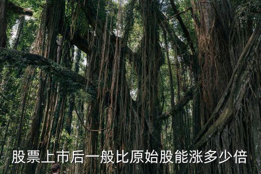 股票市场能涨到多少，股票上市后一般比原始股能涨多少倍