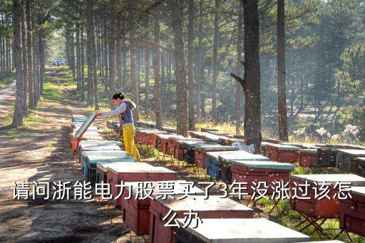 请问浙能电力股票买了3年没涨过该怎么办