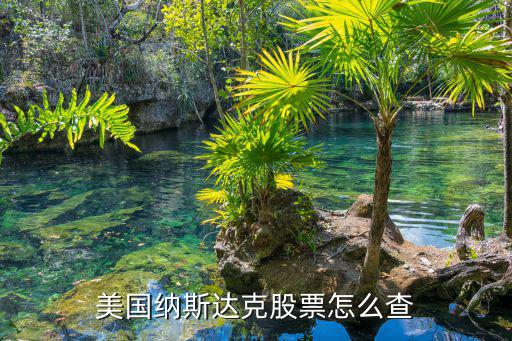 美国纳斯达克股票怎么查