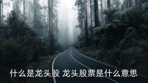为什么叫做龙头股票，龙头股是什么意思