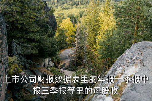 什么是股票一季报，股市的季度报告是不是指一季度报告和四季度报告因为还有个中报和