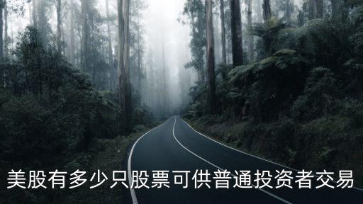 美股有多少只股票可供普通投资者交易