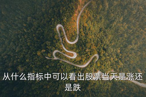 股票反弹能看到什么指标，从什么指标中可以看出股票当天是涨还是跌