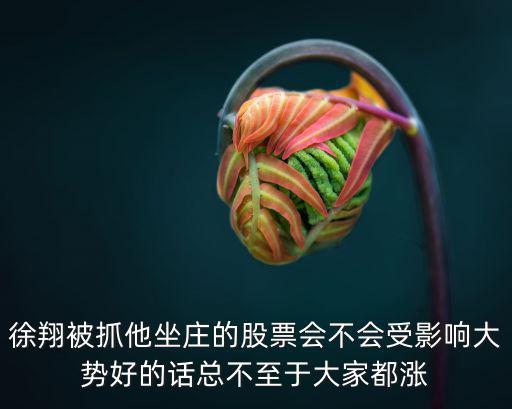 徐翔被抓他坐庄的股票会不会受影响大势好的话总不至于大家都涨