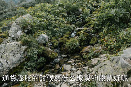 通货膨胀的时候买什么板块的股票好呢