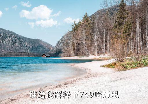 股票成交749什么意思，股票软件买卖成交明细里的数字是什么意思