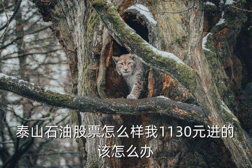 泰山石油股票怎么样我1130元进的该怎么办