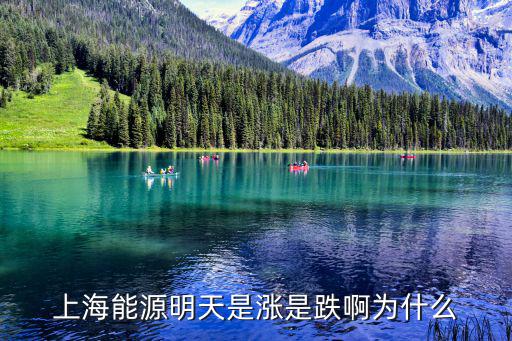 上海能源股票多少钱，上海能源明天是涨是跌啊为什么