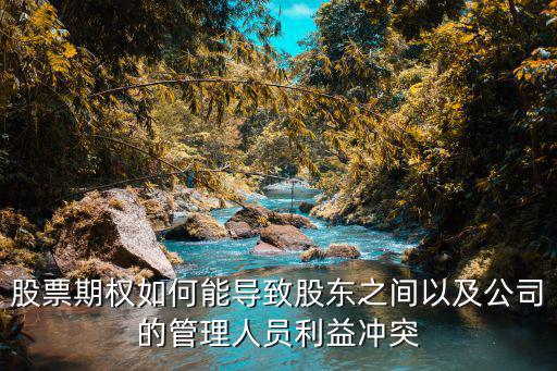 股票期权如何能导致股东之间以及公司的管理人员利益冲突