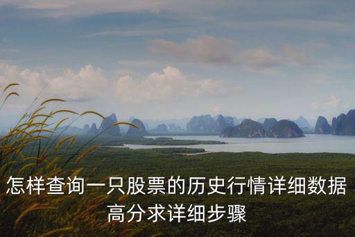 怎么看股票行情数据，怎样查询一只股票的历史行情详细数据高分求详细步骤