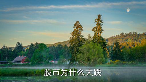 股市为什么大跌