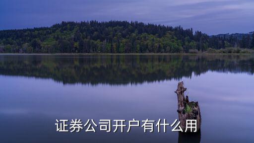 证券公司开户有什么用