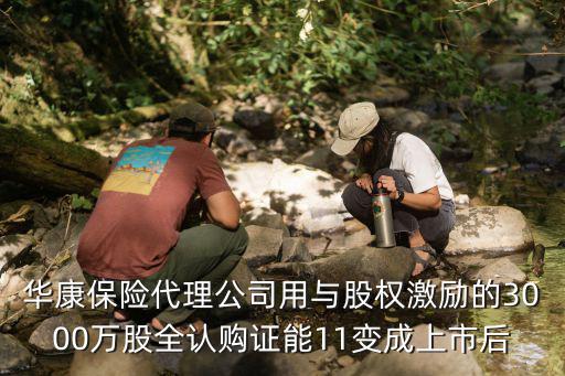 保险公司发行多少股票，2015中国人民保险公司计划上a股票行情吗