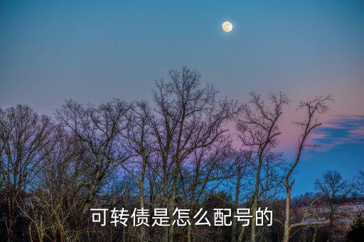 可转债是怎么配号的