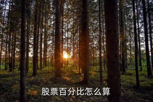 股票百分比怎么算