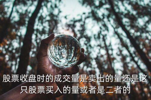 股票收盘时的成交量是卖出的量还是这只股票买入的量或者是二者的