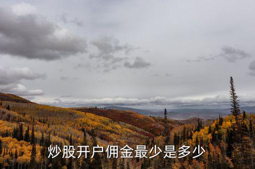 炒股开户佣金最少是多少