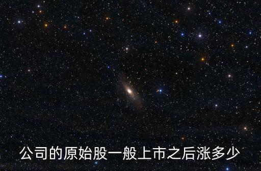 理想公司发行了多少股票，公司发行股票发行者要买多少股票成为控股股东