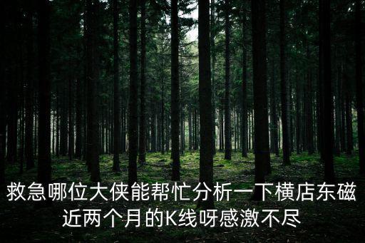 救急哪位大侠能帮忙分析一下横店东磁近两个月的K线呀感激不尽