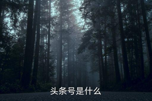头条号是什么