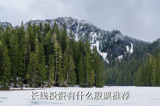 长线投资有什么股票推荐