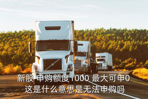新股 申购额度1000 最大可申0 这是什么意思是无法申购吗